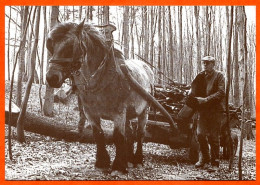 88 Vosges Vieux Métiers Débardage Foret Bois Bucheron Avec Cheval Carte Vierge TBE - Kunsthandwerk