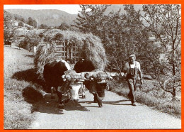 88 Vosges Vieux Métiers Fenaison Paire De Boeufs Charrette Foin Carte Vierge TBE - Landbouwers