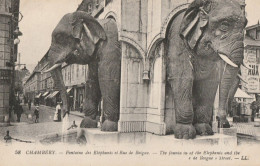 CARTE POSTALE ORIGINALE ANCIENNE : CHAMBERY  LA RUE DE BOIGNE LA FONTAINE DES ELEPHANTS SANS CUL  ANIMEE  SAVOIE (73) - Chambery