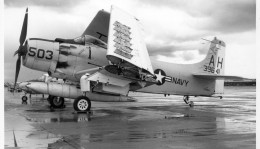 Photographie Photo Vintage Snapshot Avion Aviation Plane Skyraider - Luftfahrt