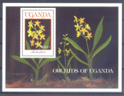 OEGANDA  (ORC091) XC - Orchidées