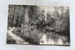 Cpsm 1956, Meung Sur Loire, Les Mauves Aux Marais, Loiret 45 - Other & Unclassified