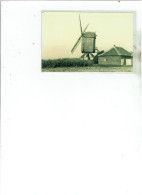 Sint-katherina-lombeek - Molen De Neef - Ternat