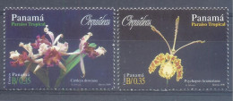 PANAMA (ORC102) XC - Orchideeën