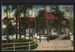 AK Karlsbad, Höhen-Café Auf Der Freundschaftshöhe  - Tchéquie
