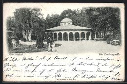 AK Franzensbad, Spaziergänger An Der Louisenquelle  - Tchéquie