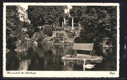 AK Marienbad, Schwan Auf Dem Parkteich  - Tchéquie