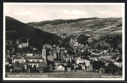 AK Graslitz /Sudetenland, Blick über Die Dächer  - Tchéquie