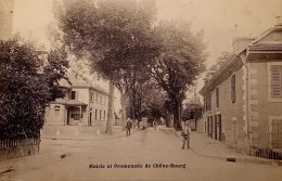 SUISSE - MAIRIE ET PROMENADE DE CHENE-BOUGERIE - Chêne-Bourg