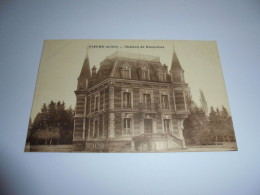 VIEURE Château De Ninerolles  Allier 03  France Carte Postale Post Kaart Postcard - Other & Unclassified