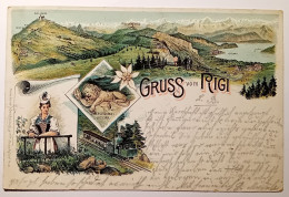 SUISSE - GRUSS VOM RIGI - Other & Unclassified