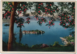 1953 Lago Maggiore - Isola Bella - Novara