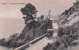 Liguria - Strada S Margherita - Portofino - 1914 - Altri & Non Classificati