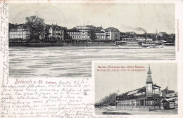 BIEBRICH A RHEIN - Schloss - Garten - Terrasse Des Hotel Nassau - 1903 - Wiesbaden