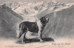 ST Gall - Gruss Aus Den BERGEN - 1904 - Otros & Sin Clasificación