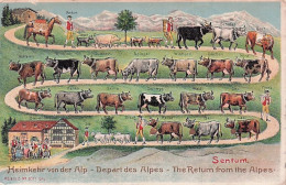 Grisons - Heimkehr Von Der Alp -  Départ Des Alpes  - The Returnfrom The Alpes. SENTUM - 1907 - Andere & Zonder Classificatie