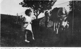 Photographie Photo Vintage Snapshot Vache Cow Enfant Child - Autres & Non Classés