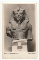 Egypte . Le Caire . Museum . Bust Of MENEPTAH N° 725 - Musea