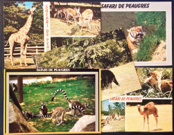 07 Safari Parc De Peaugres Lot 5 Cartes Tigre Maki-Catts Ours Tigre Et Cartes Multivues - Andere & Zonder Classificatie
