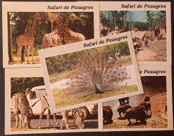 07 Safari Parc De Peaugres Lot 5 Cartes Paon Girafe Singe Bison - Autres & Non Classés