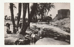 Maroc . Oudjda . Le Long Des Remparts . 1952 - Other & Unclassified