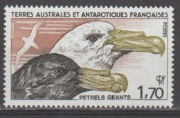 TERRES AUSTRALES Et ANTARCTIQUES Fçaises : Faune Antarctique - Oiseau : Pétrel Géant - Neufs