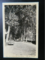 PONT D'EPANNES                                        ALLEE DES PLATANES                  AUTOMOBILE - Autres & Non Classés