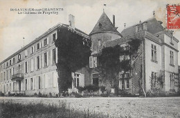 Autres & Non Classés. Saint Savinien Sur Charente. Le Chateau De Forgettes. - Other & Unclassified