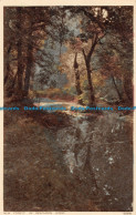 R167207 New Forest In Beachern Wood. Photochrom - Monde