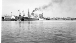 Photographie Photo Vintage Snapshot Paquebot Transatlantique  - Schiffe