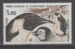 TERRES AUSTRALES Et ANTARCTIQUES Fçaises : Faune Antarctique - Oiseau : Manchot Empereur - Neufs