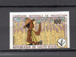 HAUTE VOLTA    N° 253  NON DENTELE    NEUF SANS CHARNIERE  COTE ? €  PROTECTION DES SEMENCES - Obervolta (1958-1984)