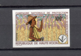 HAUTE VOLTA    N° 253  NON DENTELE    NEUF SANS CHARNIERE  COTE ? €  PROTECTION DES SEMENCES - Haute-Volta (1958-1984)