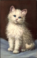 Artiste CPA Lampe, A., Weißes Katzenbaby Mit Blauen Augen - Andere & Zonder Classificatie