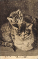 Lithographie Zwei Katzen, Katzenbaby, Katzenmutter - Other & Unclassified