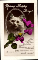 CPA Weiße Katze, Katzenportrait, Glückwunsch, Blumen - Autres & Non Classés