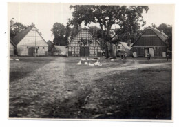 3131 LUCKAU - KÖHLEN, Rundling, Photo 11,5 X 8 Cm - Luechow