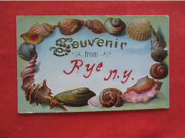 Souvenir. Shell Border Rye NY.     Ref 6419 - Other & Unclassified