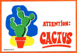 Carte Autocollant Adhésif  Humour Attention Cactus Allouin Carte Vierge TBE - Humor