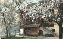 CPA Carte Postale France Valenciennes(pas Du Tout Certain) Une Maison Entourée D'arbres Fleuris 1912  VM81505 - Valenciennes