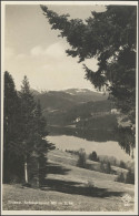 Ansichtskarte Titisee/Schwarzwald, Titisee 6.8.31  - Storia Postale