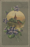 Ansichtskarte/Prägekarte: Frühlingsgedicht Mit Kirche, Zittau 24.11.1909 - Storia Postale
