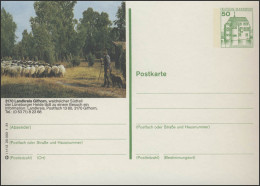 P134-i1/013 3170 Gifhorn, Heidelandschaft ** - Cartoline Illustrate - Nuovi