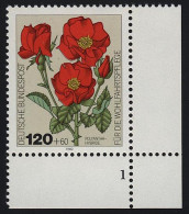 1153 Wohlfahrt Gartenrosen 120+60 Pf ** FN1 - Unused Stamps