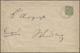 Dienstumschlag 5 Pf. Grün Schultheißenamt ESCHENAU O.A. WEINSBERG 2.3.92 - Postal  Stationery