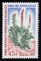 Antarktis Französisch - 81 Kerguelenkohl, Postfrisch / MNH ** - Sonstige & Ohne Zuordnung