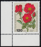 1153 Wohlfahrt Gartenrosen 120+60 Pf ** Ecke U.l. - Unused Stamps