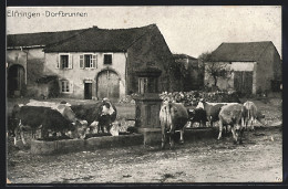 CPA Eifringen, Vaches Am Dorfbrunnen  - Other & Unclassified