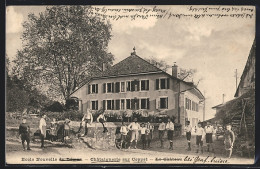 AK Coppet, Ecole Nouvelle Du Léman, Chataignerie, Le Chateau  - Coppet