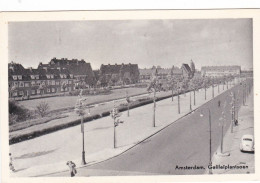Amsterdam Galileïplantsoen Levendig Oude Auto  2586 - Amsterdam